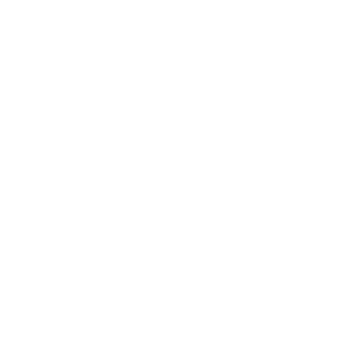 NPA Conseil twitter logo silhouette